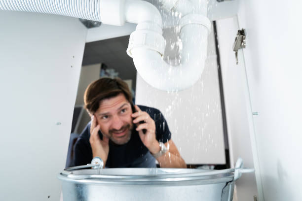 Lealman, FL Plumbing Pros