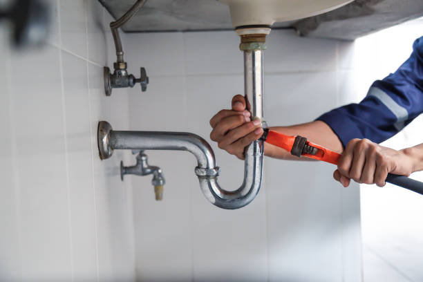 Best Commercial Plumbing Services  in Lealman, FL