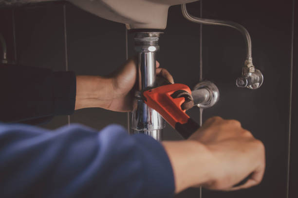 Best Same-Day Plumbing Service  in Lealman, FL